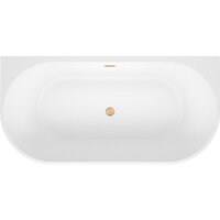 Wellsee Excellence Pro 170x75 28760304R (пристенная ванна белый глянец, экран, ножки, сифон-автомат золото) Image #4