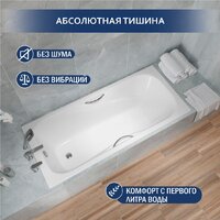 Lauter Regina 150х75 21014152 (с ручками) Image #3