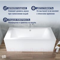 Lauter Belgravia 170x75 21110170 (с ножками, лицевым и торцевым экранами) Image #3