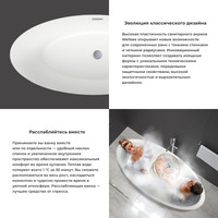 Wellsee Cerulean 174x80 231001003 (отдельностоящая ванна белый глянец, экран, ножки, сифон-автомат матовый черный) Image #5