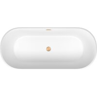 Wellsee Shell 140x70 28170104R (отдельностоящая ванна белый глянец, экран, ножки, сифон-автомат золото) Image #4