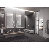 Grohe 3947700H с гигиеническим покрытием 60x49 Image #5