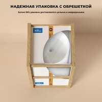Wellsee Chalice Perfection 230622000 (отдельностоящий, без отверстия под смеситель, цвет матовый темно-синий/глянцевый белый) Image #8