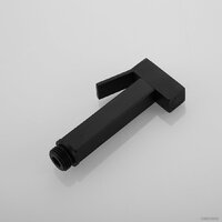 Rose R105H Image #23