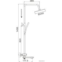 Rose R3996F Image #2