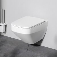 AM.PM Inspire V2.0 C50A1700MWSC