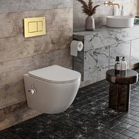 Roxen Antares Bidet в комплекте с инсталляцией StounFix Dual Fresh 6 в 1 968457 (кнопка: брашированное золото) Image #2