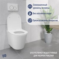 Lauter Longer 2110822 с кнопкой 219703E (круглая, сатин) Image #6