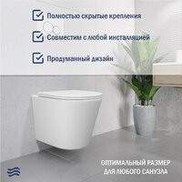 Lauter Longer 2110822 с кнопкой 219703E (круглая, сатин) Image #7