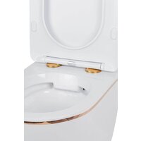 Roxen Antares Gold 968096 в комплекте с инсталляцией StounFix Dual Fresh 6 в 1 968096 (кнопка: брашированное золото) Image #8