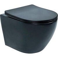 Deante Up Uno VSS01101PF с крышкой Slim Soft-Close (черный) Image #1