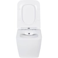 Roxen Cube bidet в комплекте с инсталляцией StounFix Dual Fresh 6 в 1 968439 (кнопка: сатин) Image #6