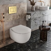 Roxen Egg в комплекте с инсталляцией StounFix Dual Fresh 6 в 1 968475 (кнопка: брашированное золото) Image #2