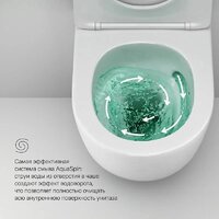 AM.PM Master Fit IS100251.801900 (хром глянцевый, с кнопкой смыва) Image #5