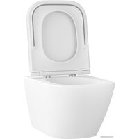 Wellsee Pure BY Wellsee RimFree 182603001 (чаша, пневмокрышка, матовый белый) Image #2
