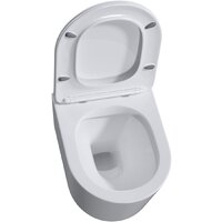 Roxen Simple compact в комплекте с инсталляцией StounFix Dual Fresh 6 в 1 968486 (кнопка: сатин) Image #7