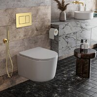 Roxen Simple compact в комплекте с инсталляцией StounFix Dual Fresh 6 в 1 968480 (кнопка: брашированное золото) Image #2