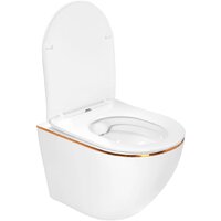Roxen Antares Gold в комплекте с инсталляцией StounFix Dual Fresh 6 в 1 968460 (кнопка: брашированное золото) Image #9