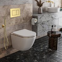 Roxen Antares Gold в комплекте с инсталляцией StounFix Dual Fresh 6 в 1 968460 (кнопка: брашированное золото) Image #2