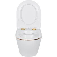 Roxen Antares Gold в комплекте с инсталляцией StounFix Dual Fresh 6 в 1 968460 (кнопка: брашированное золото) Image #8