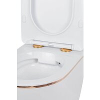 Roxen Antares Gold в комплекте с инсталляцией StounFix Dual Fresh 6 в 1 968460 (кнопка: брашированное золото) Image #10