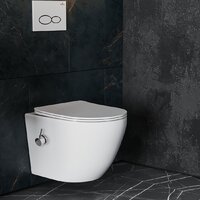 Roxen Antares Bidet в комплекте с инсталляцией StounFix Dual Fresh 6 в 1 966821 (кнопка: серый гранит) Image #9