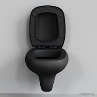 Ambassador Diamond 123T20201R (черный матовый) (без сиденья) Image #4