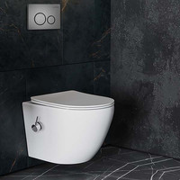 Roxen Antares Bidet в комплекте с инсталляцией StounFix Dual Fresh 6 в 1 962282 (кнопка: оружейная сталь) Image #2