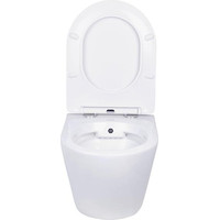 Roxen Antares Bidet в комплекте с инсталляцией StounFix Dual Fresh 6 в 1 962282 (кнопка: оружейная сталь) Image #13