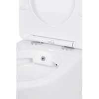 Roxen Antares Bidet в комплекте с инсталляцией StounFix Dual Fresh 6 в 1 962282 (кнопка: оружейная сталь) Image #11