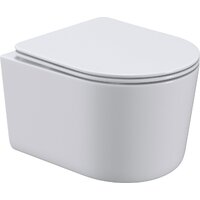 Roxen Simple compact в комплекте с инсталляцией StounFix Dual Fresh 6 в 1 968084 (кнопка: брашированное золото) Image #4