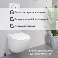 Lauter Sulzdorf + GROHE Solido 38811KF0 + панель GROHE 37131000 (белый с микролифтом) Image #6