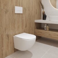 Lauter Sulzdorf + GROHE Solido 38811KF0 + панель GROHE 37131000 (белый с микролифтом) Image #15