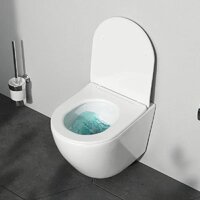 AM.PM Pro L IS49051.801900 (глянцевый хром, с сиденьеми кнопкой смыва) Image #2