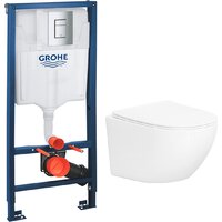 Lauter Sulzdorf + GROHE Rapid SL 38772001 (белый с микролифтом) Image #1