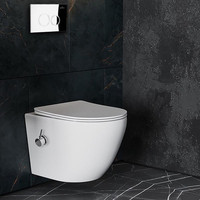 Roxen Antares Bidet в комплекте с инсталляцией StounFix Dual Fresh 6 в 1 926249 (кнопка: хром глянец) Image #2