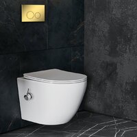 Roxen Antares bidet в комплекте с инсталляцией StounFix Dual Fresh 6 в 1 968097 (кнопка: золото глянцевое ) Image #8