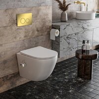 Roxen Antares bidet в комплекте с инсталляцией StounFix Dual Fresh 6 в 1 968097 (кнопка: золото глянцевое ) Image #7