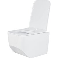 Roxen Boro в комплекте с инсталляцией StounFix Dual Fresh 6 в 1 968023 (кнопка: золото глянцевое ) Image #5