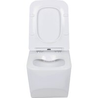 Roxen Boro в комплекте с инсталляцией StounFix Dual Fresh 6 в 1 968023 (кнопка: золото глянцевое ) Image #6