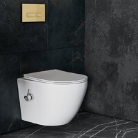 Roxen Antares Bidet в комплекте с инсталляцией StounFix Dual Fresh 6 в 1 968099 (кнопка: брашированное золото) Image #7