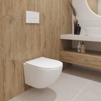 Lauter Sulzdorf + GROHE Solido 38811KF0 (белый с микролифтом) Image #15