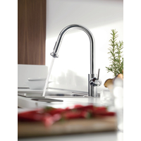 Hansgrohe Talis S2 Variarc 14877000 Image #2
