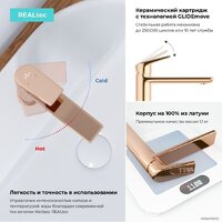 Wellsee ICON! for life 182304000 (розовое золото) Image #4