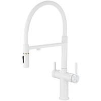 Rose R458C