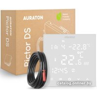Auraton Pictor DS
