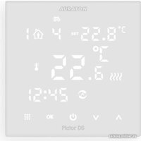 Auraton Pictor DS Image #2