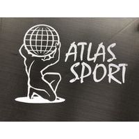 Atlas Sport 252 см - 8ft Pro (с лестницей, внешняя сетка, сливовый) Image #5