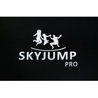 Skyjump Pro 252 см - 8ft (с внешней сеткой и лестницей) Image #25