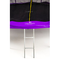 Calviano Outside Master Purple 374 см - 12ft (внешняя сетка, с лестницей) Image #5